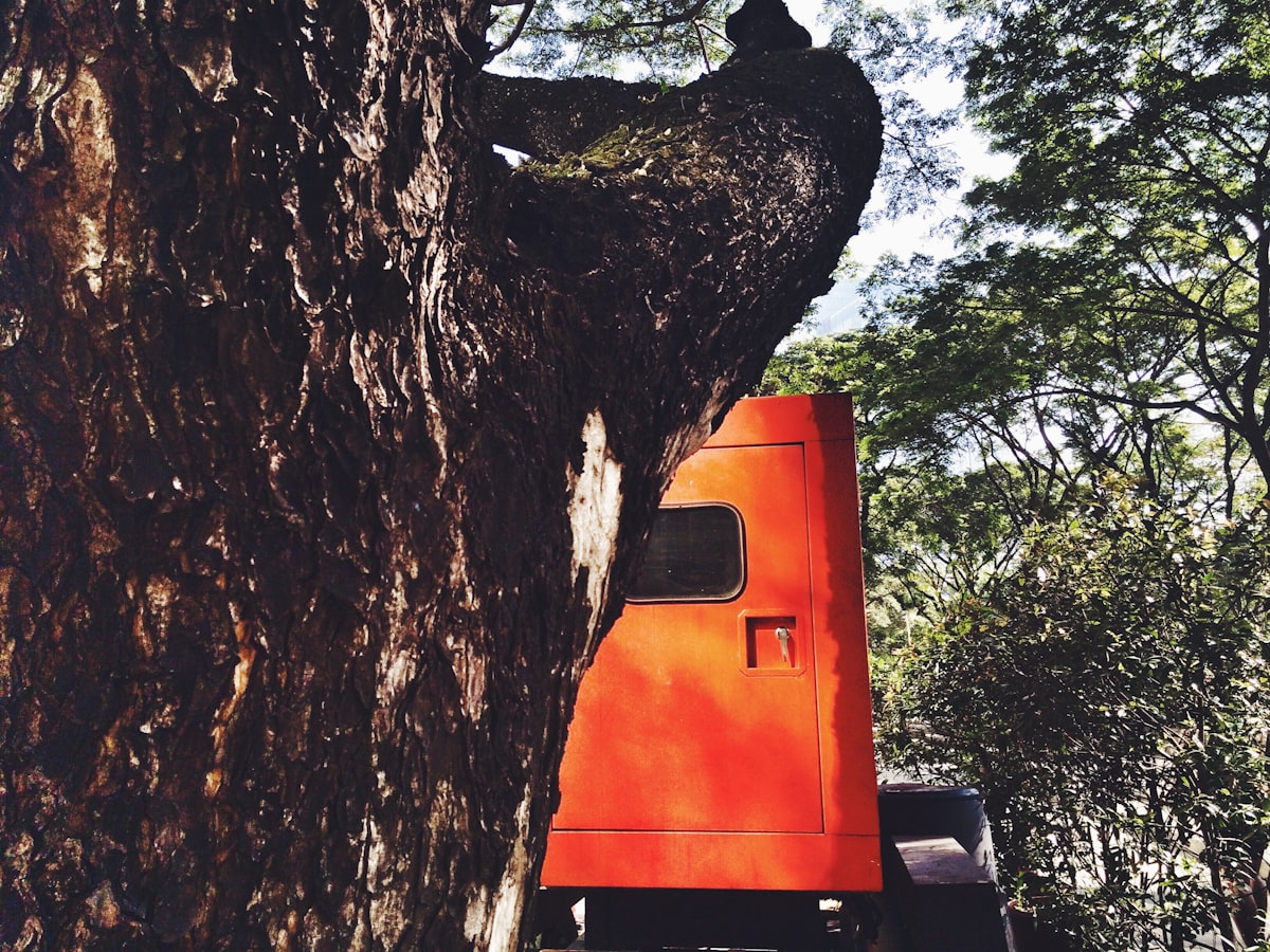 MIGUEL’S TREE SERVICES & LANDSCAPING